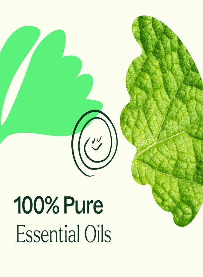 Plant Therapy Gut Aid Essential Oil Blend 10 mL (1/3 oz) 100% Pure, Undiluted, Natural Aromatherapy for Upset Stomach Relief - Image 5